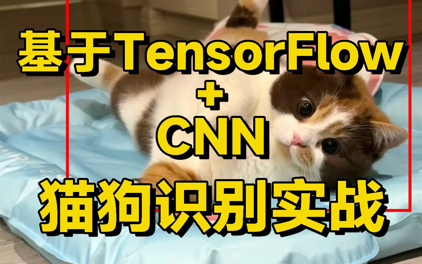 【深度学习项目】基于TensorFlow+CNN实现猫狗识别,原理详解+代码实战!——计算机视觉/人工智能/深度学习哔哩哔哩bilibili