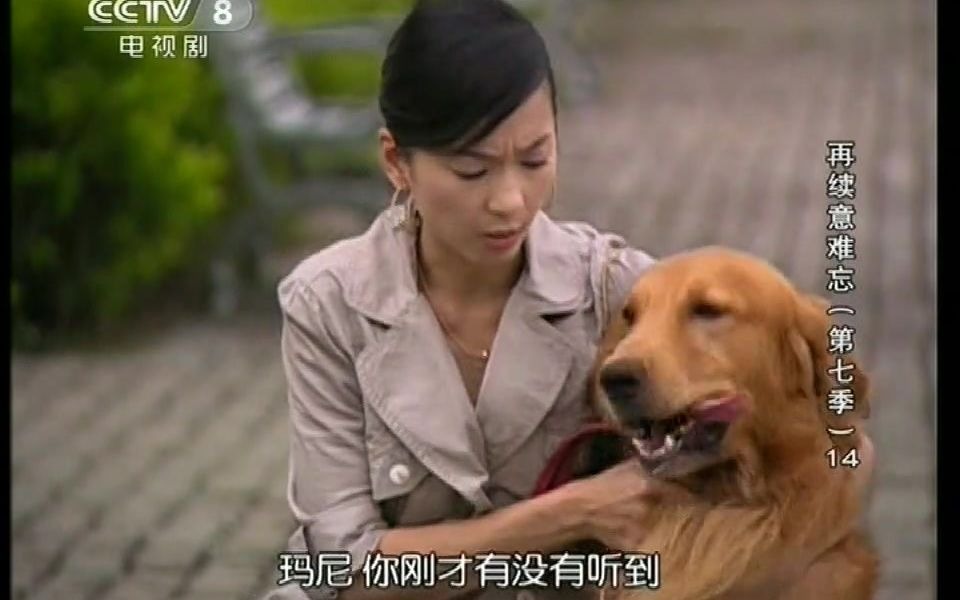 意难忘杨建志小麦撒狗粮时间