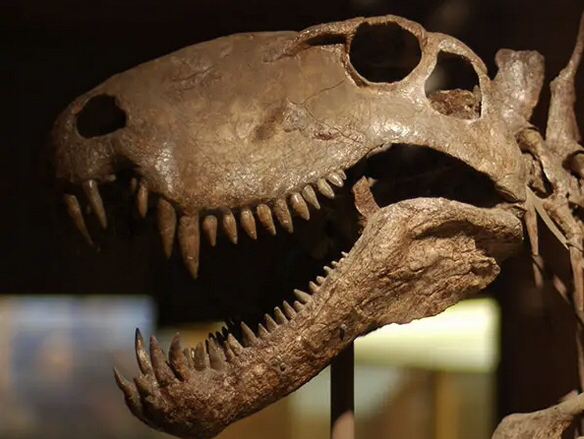 【论战】异齿龙vs波斯特鳄