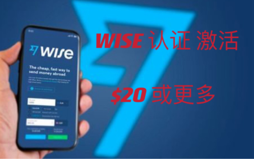 WISE怎么入金和激活?哔哩哔哩bilibili