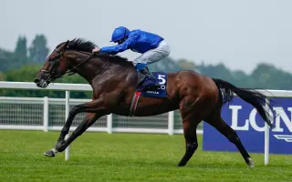 英皇锦标 搜索结果 哔哩哔哩 Bilibili