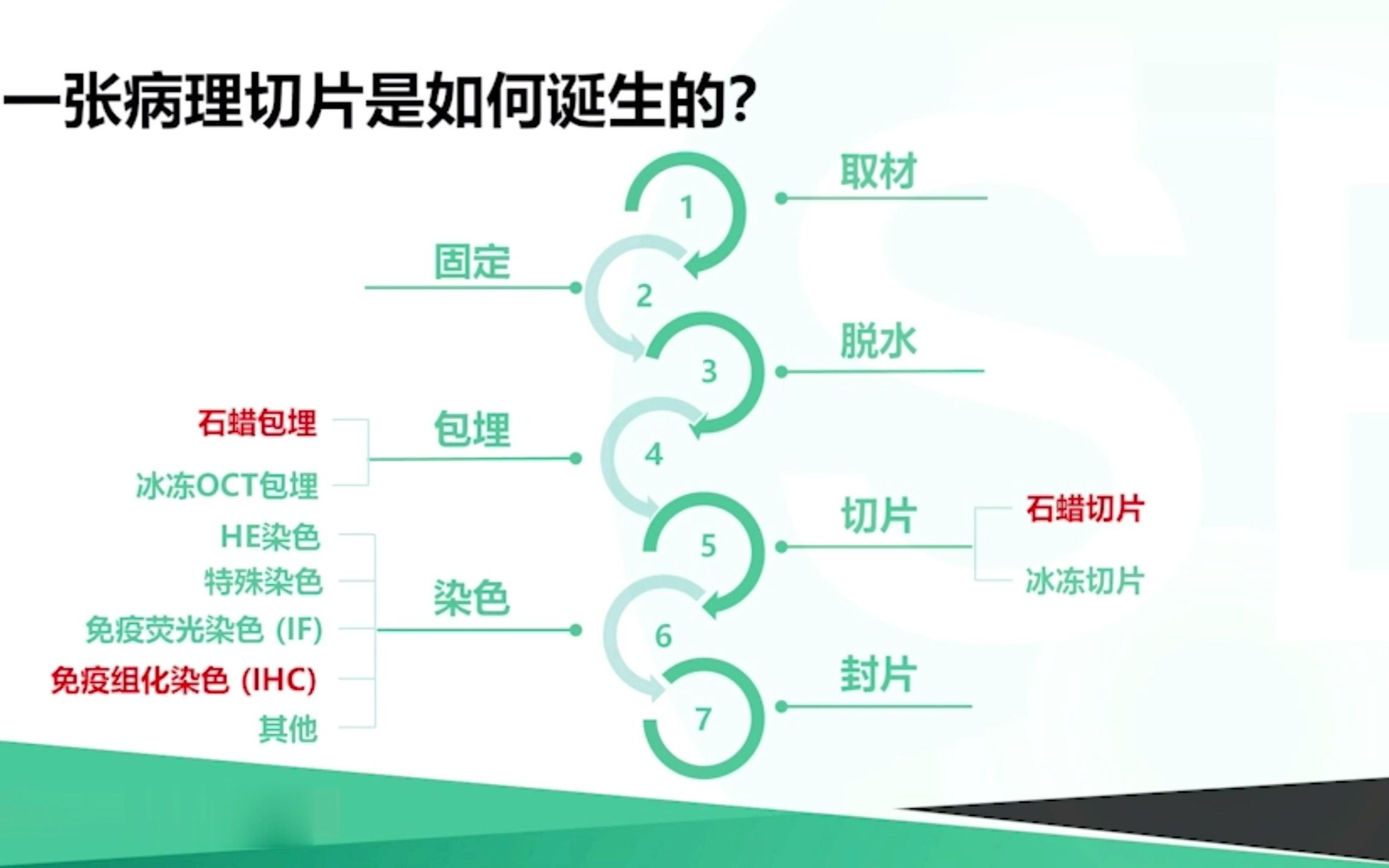 【讲座】:石蜡切片制备及其IHC染色方法介绍哔哩哔哩bilibili