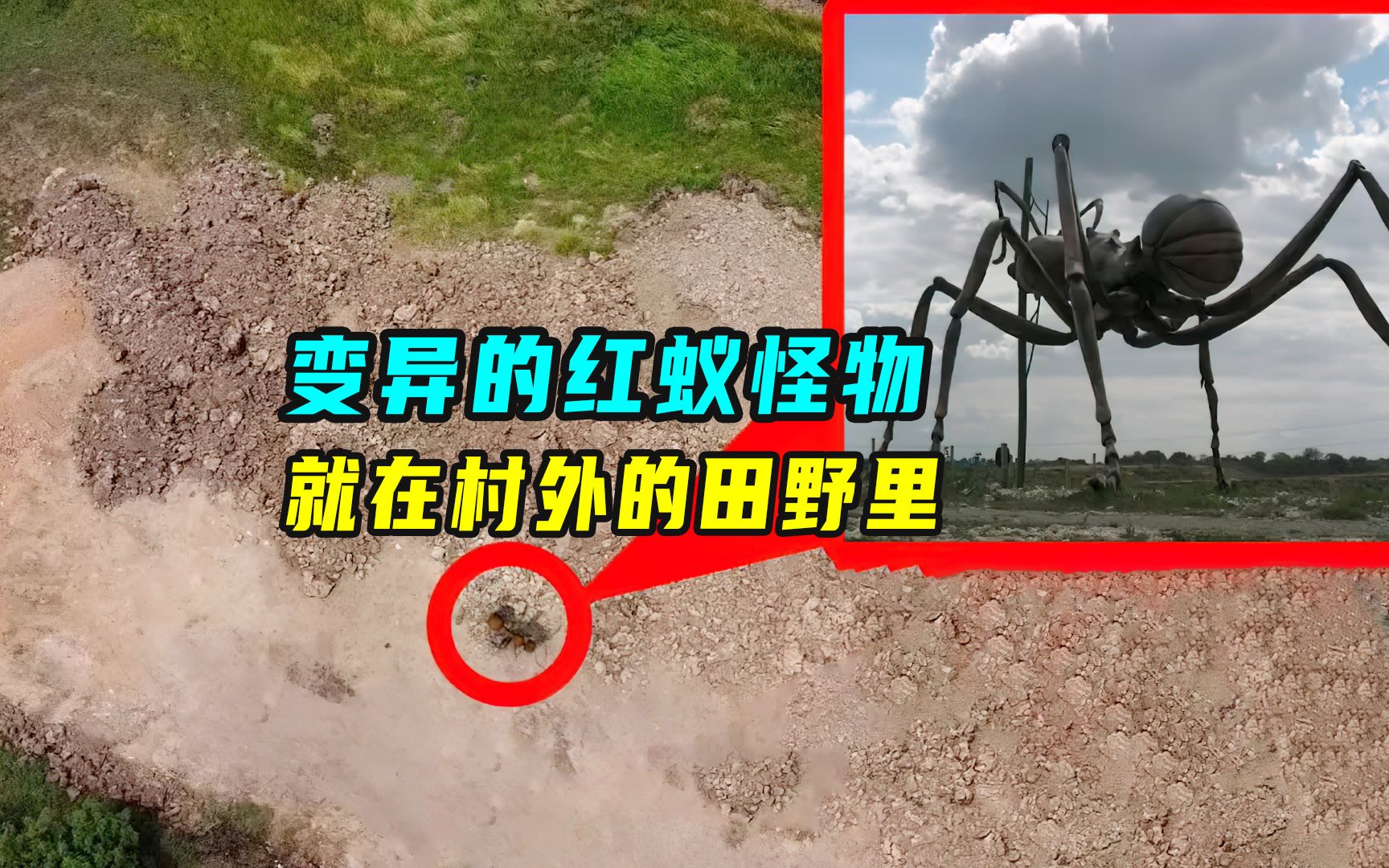 有人发现变异的红蚁,身体比一个人还要大,就在村外的田野里出没