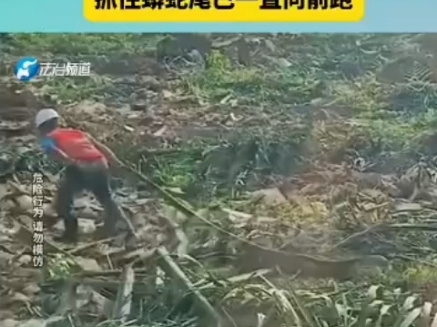 梦见别人抓住大蟒蛇（梦见别人抓鱼是什么征兆周公解梦） 梦见别人捉住
大蟒蛇（梦见别人抓鱼是什么征兆周公解梦） 卜算大全