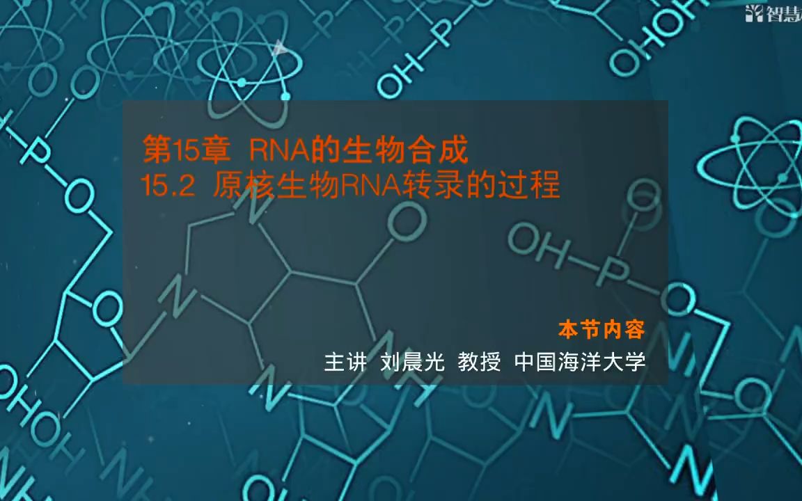 【中国海洋大学 生物化学】15.2原核生物RNA转录的过程哔哩哔哩bilibili