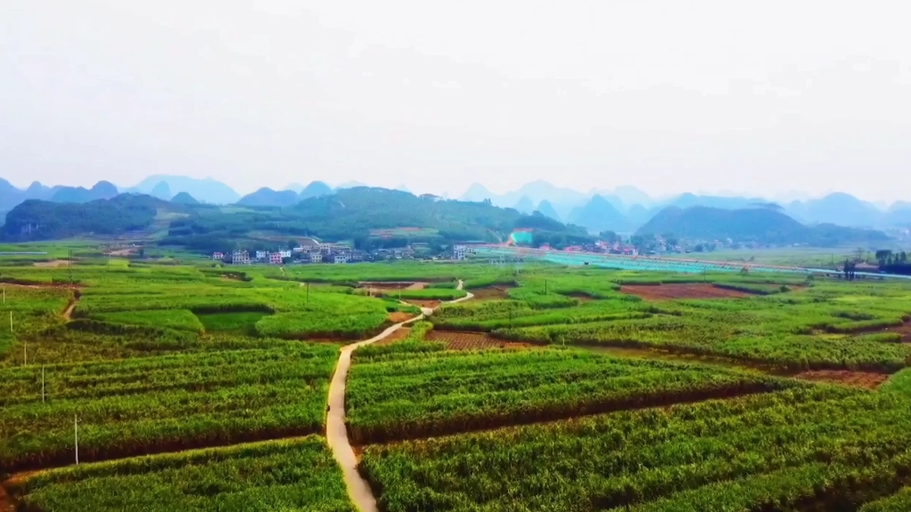 芝华大地 百亩良田