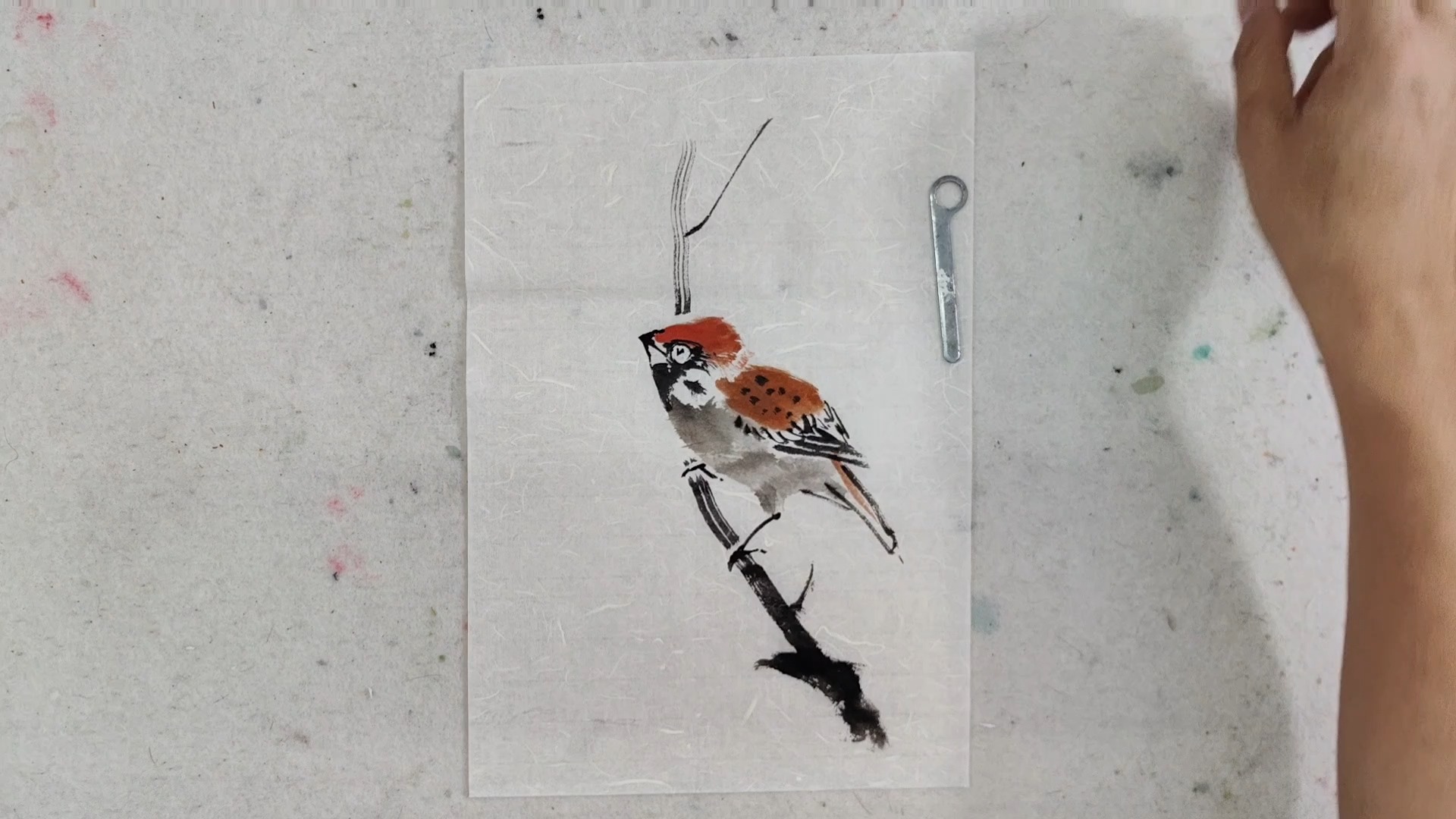 一只小麻雀站立枝头国画小写意