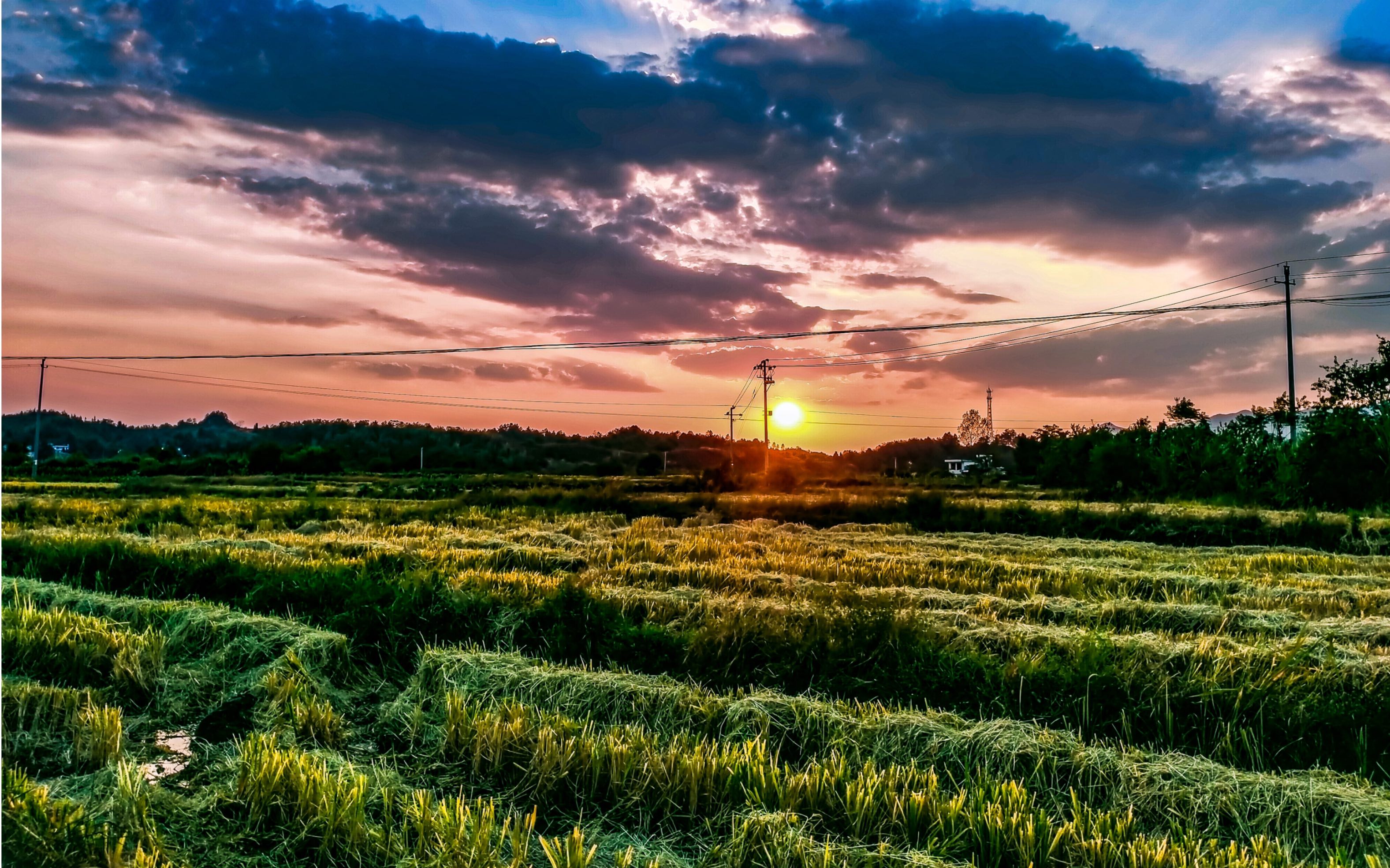 其实风景就在身边
