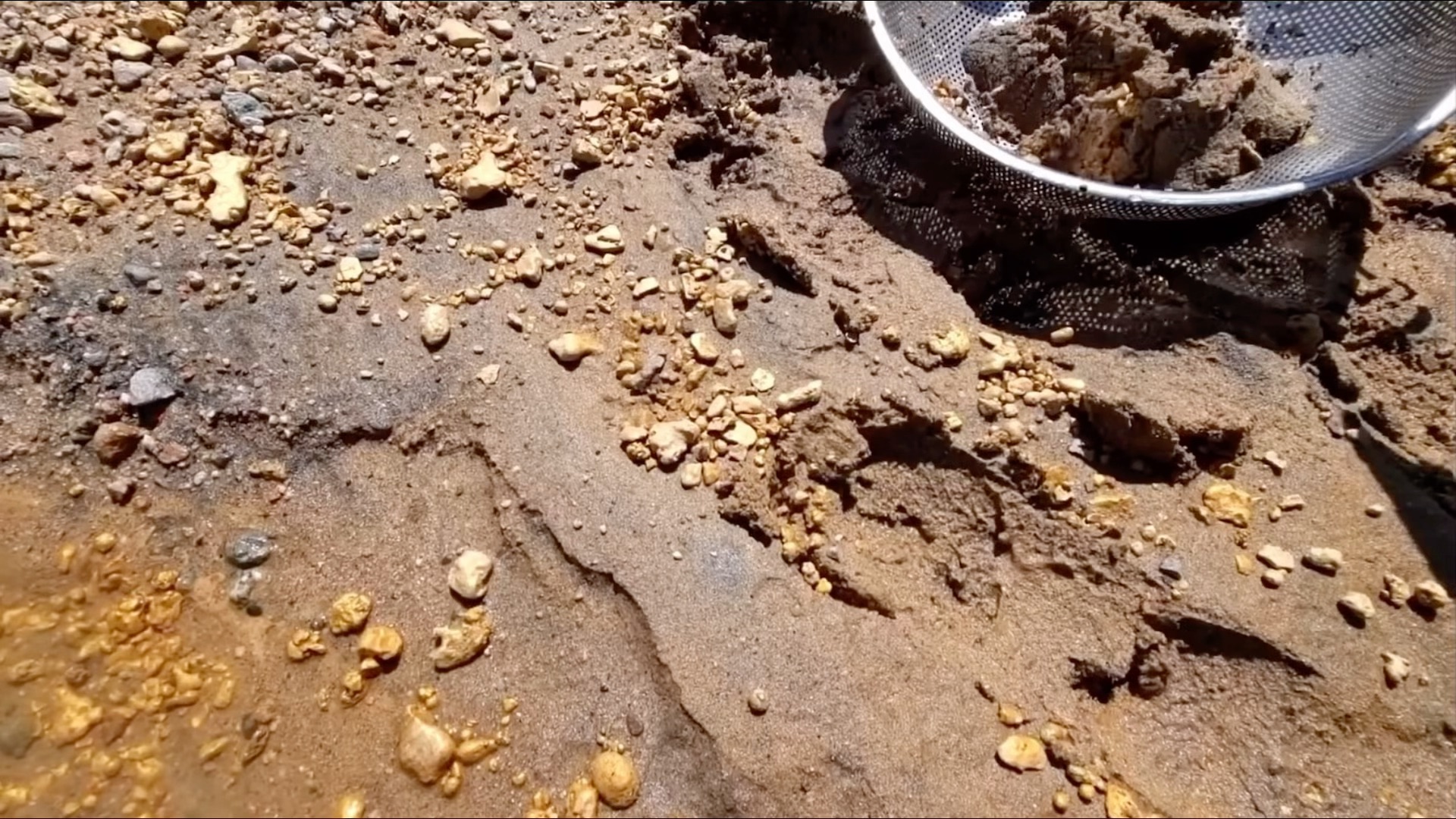 淘金客#小伙又收获满满一盆金子,提纯过后价值多少呢?