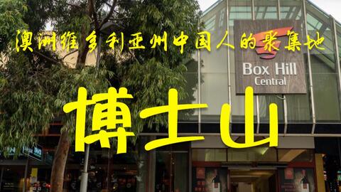 搜索 哔哩哔哩 つロ干杯 Bilibili