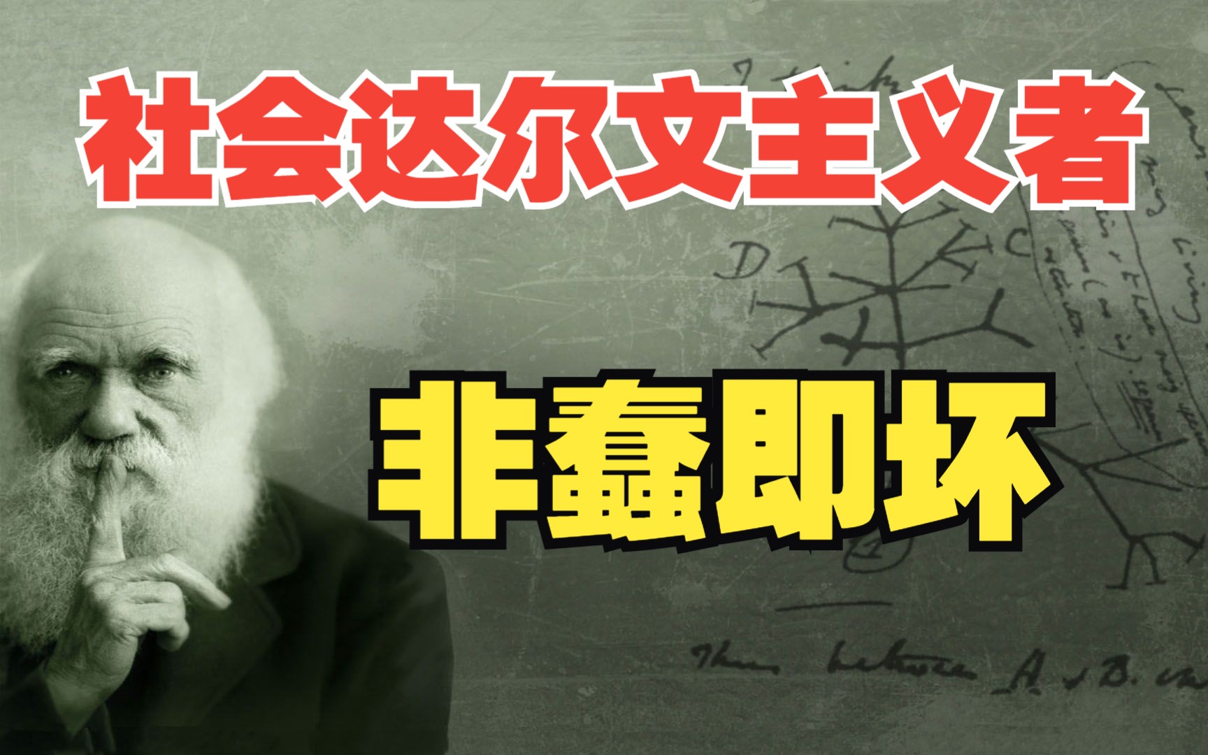 为何社会达尔文在中国网络盛行?社达者非蠢即坏?哔哩哔哩bilibili