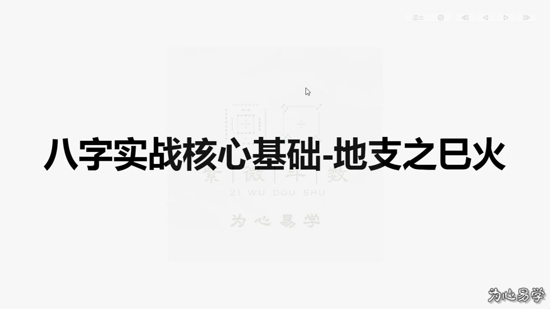 08八字实战核心基础地支之巳火哔哩哔哩bilibili