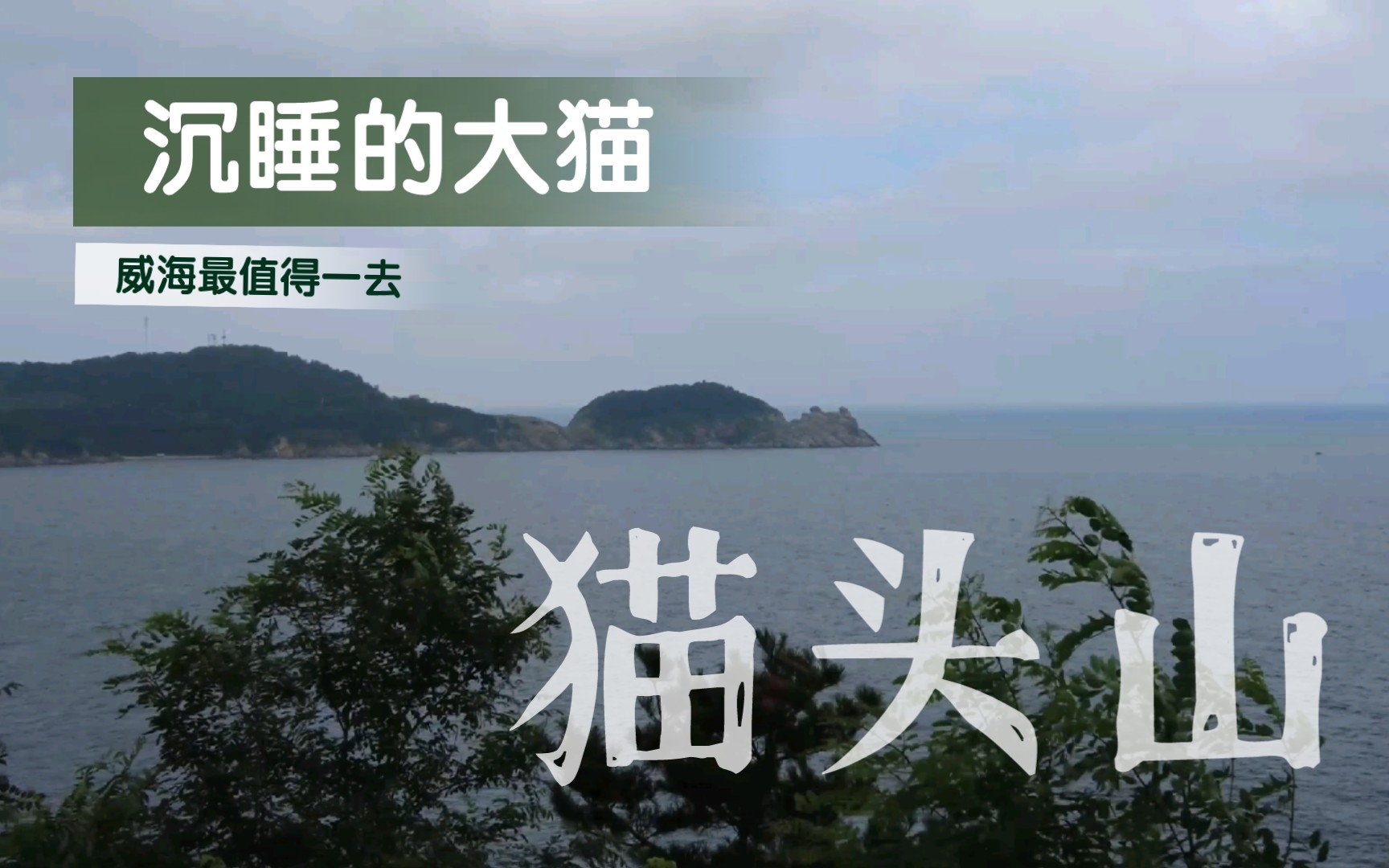 威海最值得一去的景点!猫咪山!哔哩哔哩bilibili