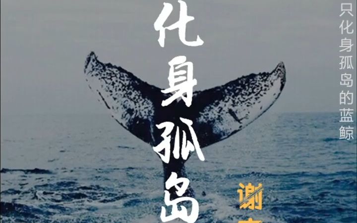 《化身孤岛的鲸》