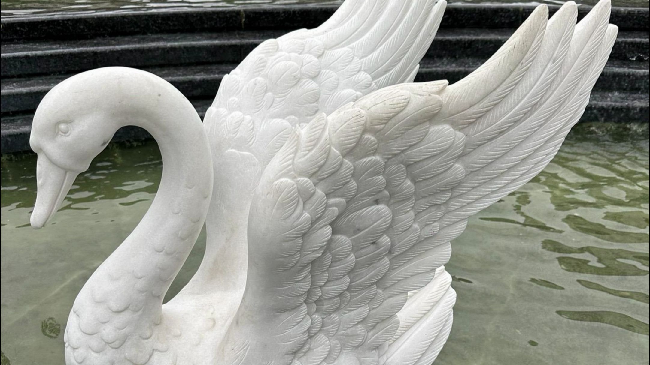 石雕白天鹅汉白玉 雕刻艺术 汉白玉 天鹅 优雅摆件 天鹅雕塑