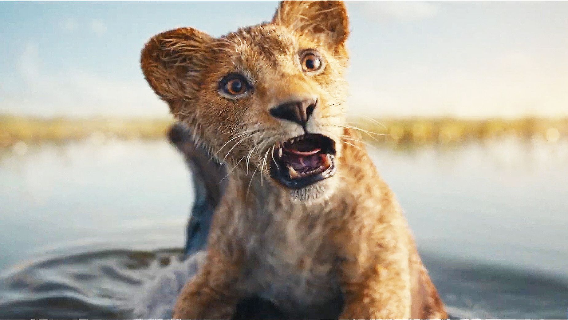 2024真人版《狮子王:木法沙传奇》首曝预告,彭彭丁满回归