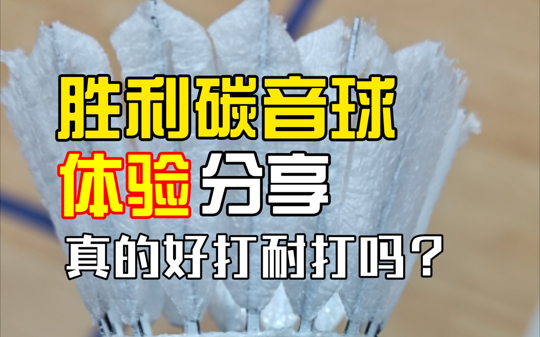 [图]新时代的开启？胜利碳音人造羽毛球使用分享