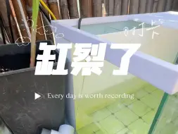 Tải video: 挖了个槽，我缸裂了