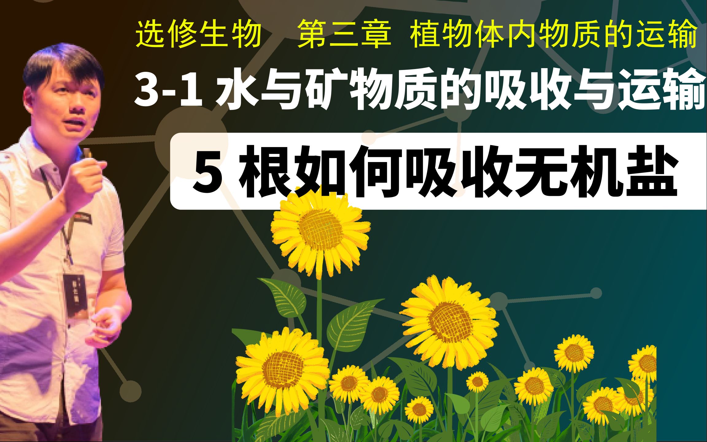 选修生物3-1.5 根如何吸收无机盐