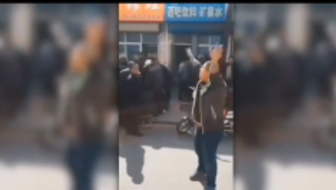 4k 虎哥说我是傻逼