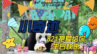 Download Video: 中国熊猫：今天小奇迹4岁了，回国第一个生日。287天