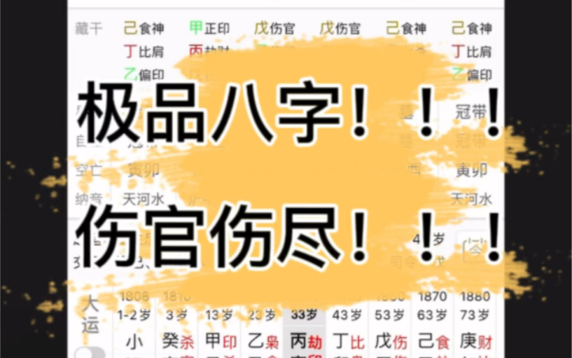 极品八字之伤官伤尽!!!哔哩哔哩bilibili