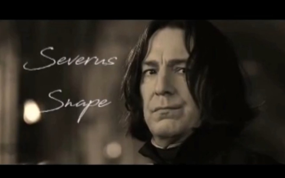 【西弗勒斯·斯内普】‖ believer