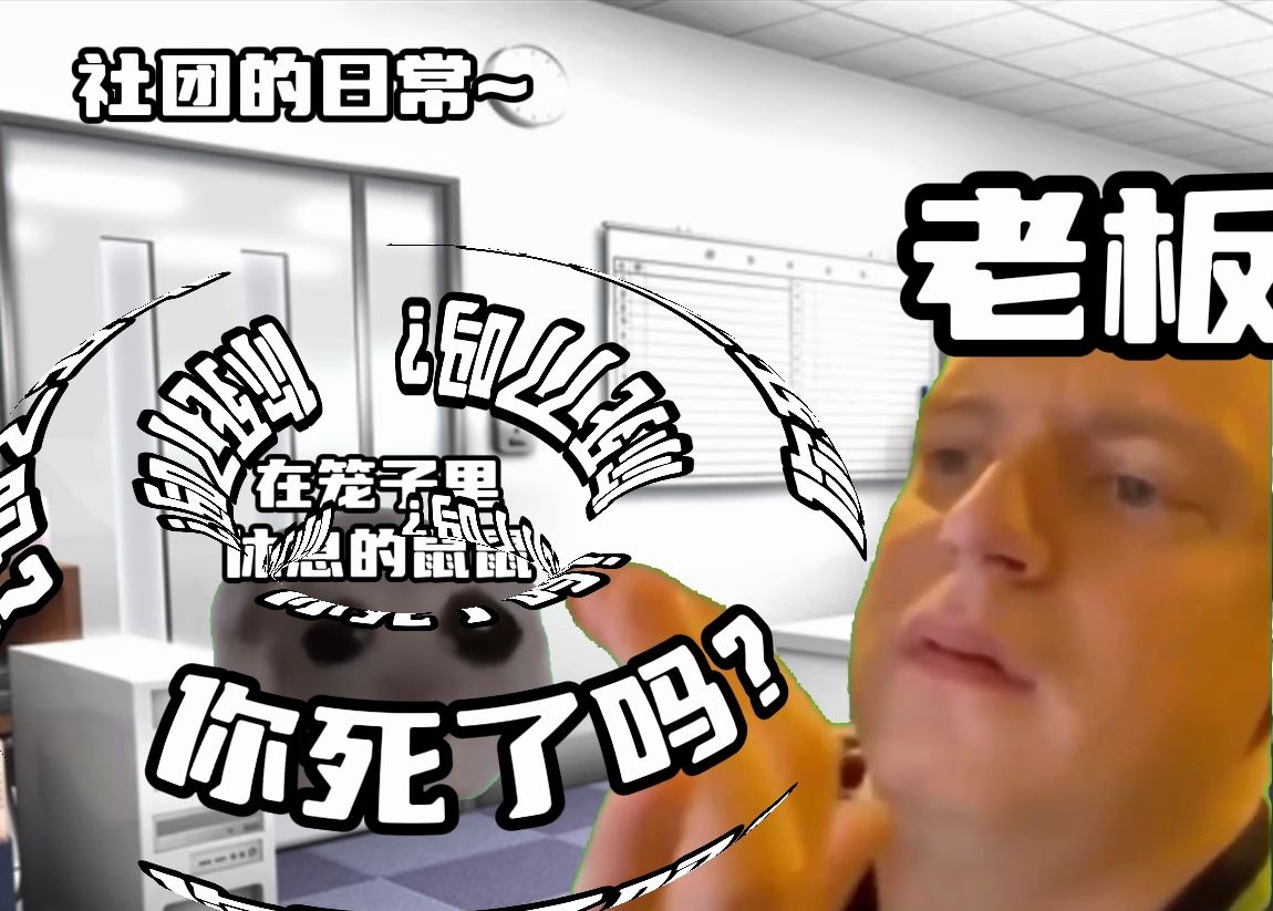 虚拟主播公司里养了一只仓鼠会发生什么