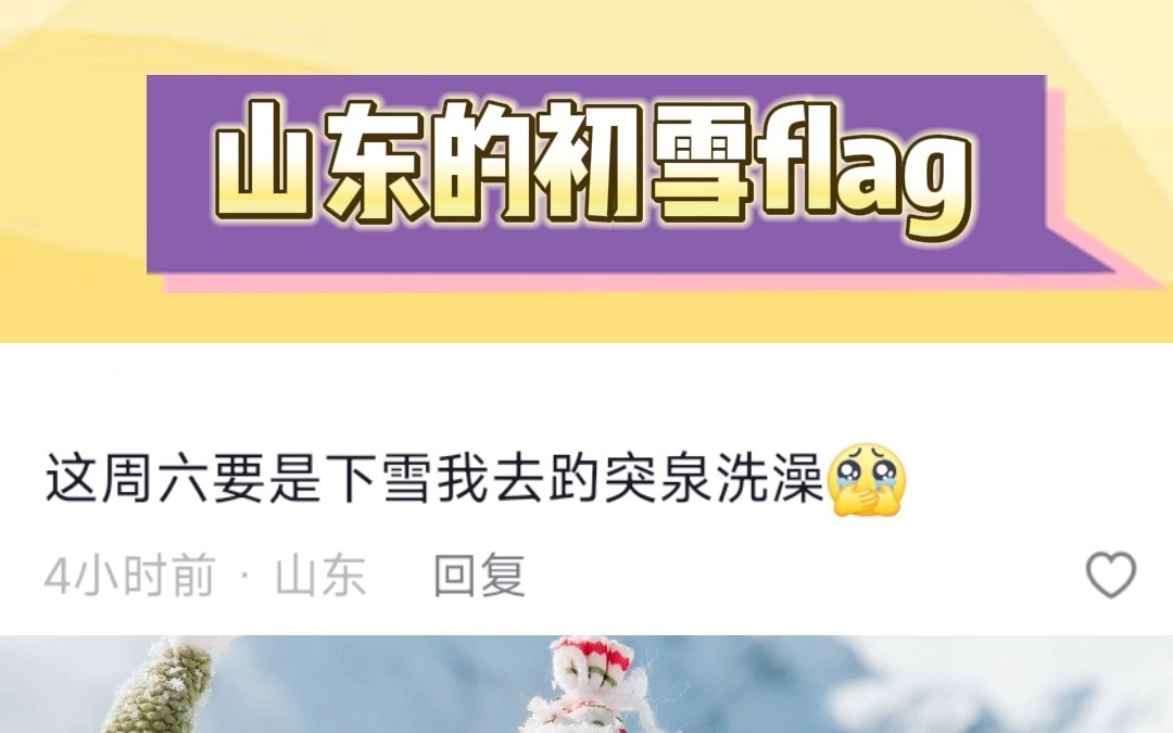 山东的初雪flag哔哩哔哩bilibili