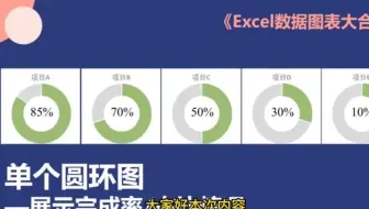 Excel单个圆环图进行整体对比 PPT里最常见