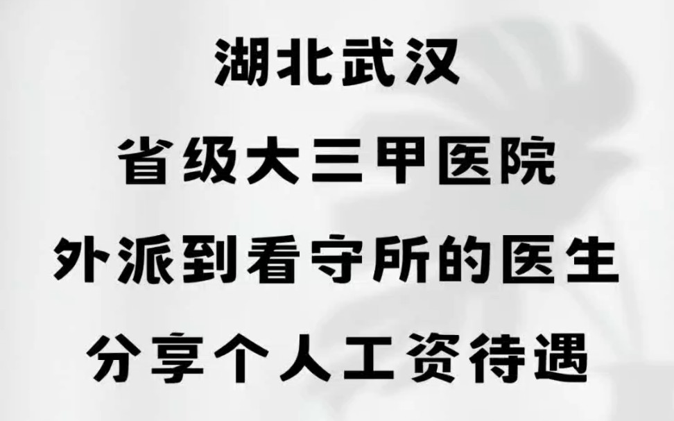 湖北武汉省级大三甲医院,外派到看守所的医生,分享个人工资待遇哔哩哔哩bilibili