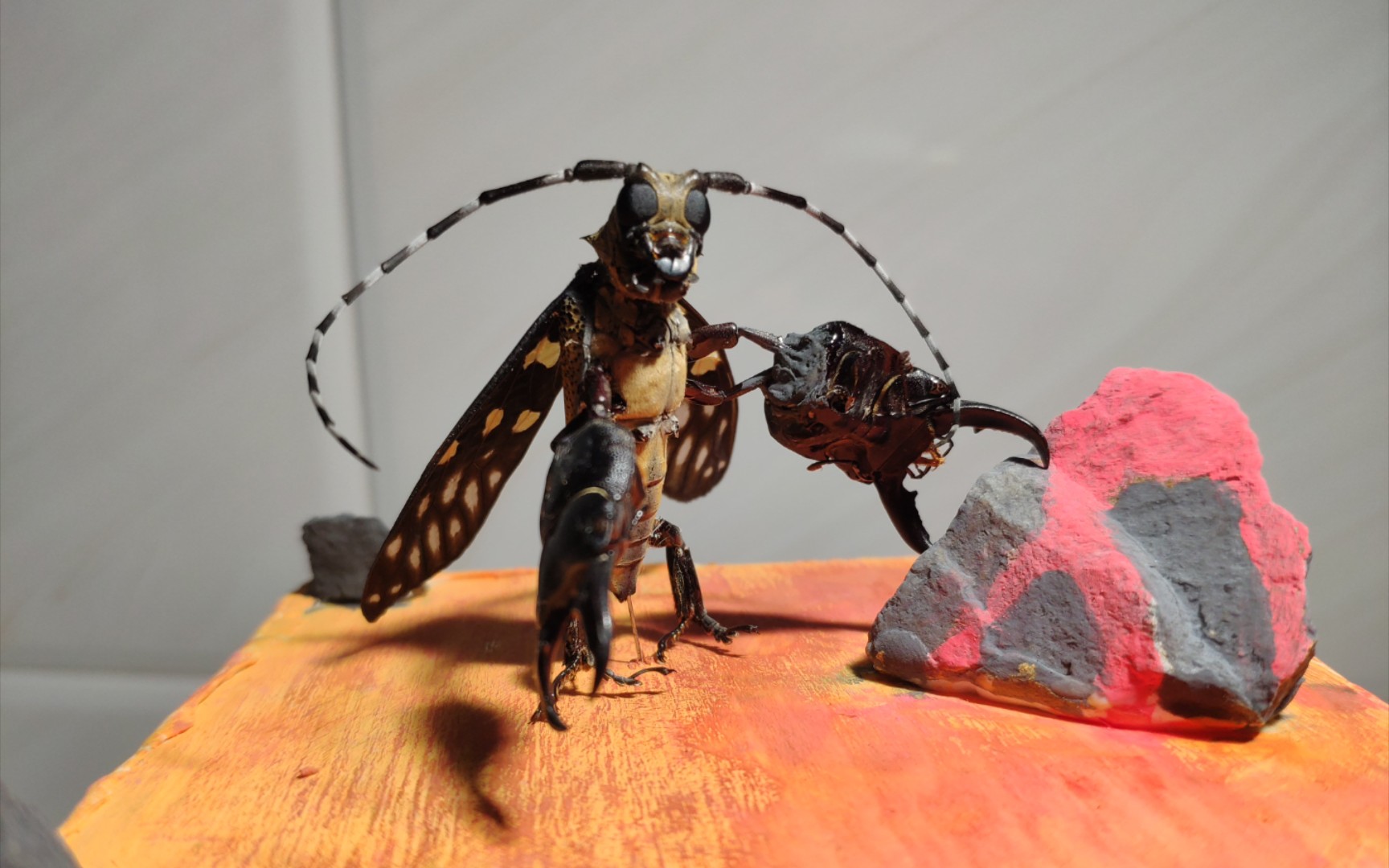 捉到了一只变异虫子