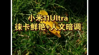 Скачать видео: 日文大佬特别版/新春版谷歌相机。小米11Ultra+徕卡鲜艳+人文暗调。