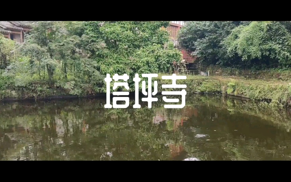 资深导游讲解重庆北碚静观的塔坪寺哔哩哔哩bilibili