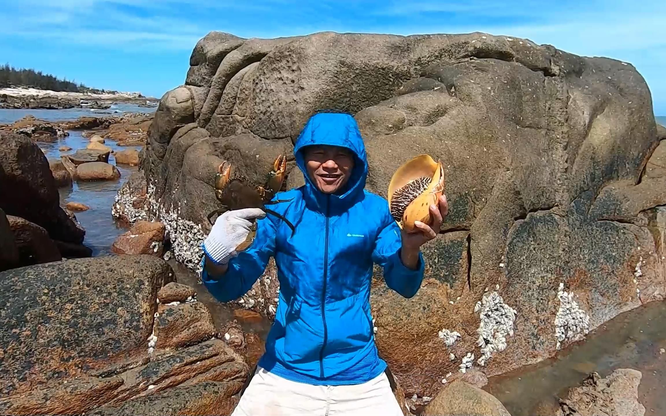大潮刚退阿文就来赶海找货,石缝里藏得全是大螃蟹,还有大海螺