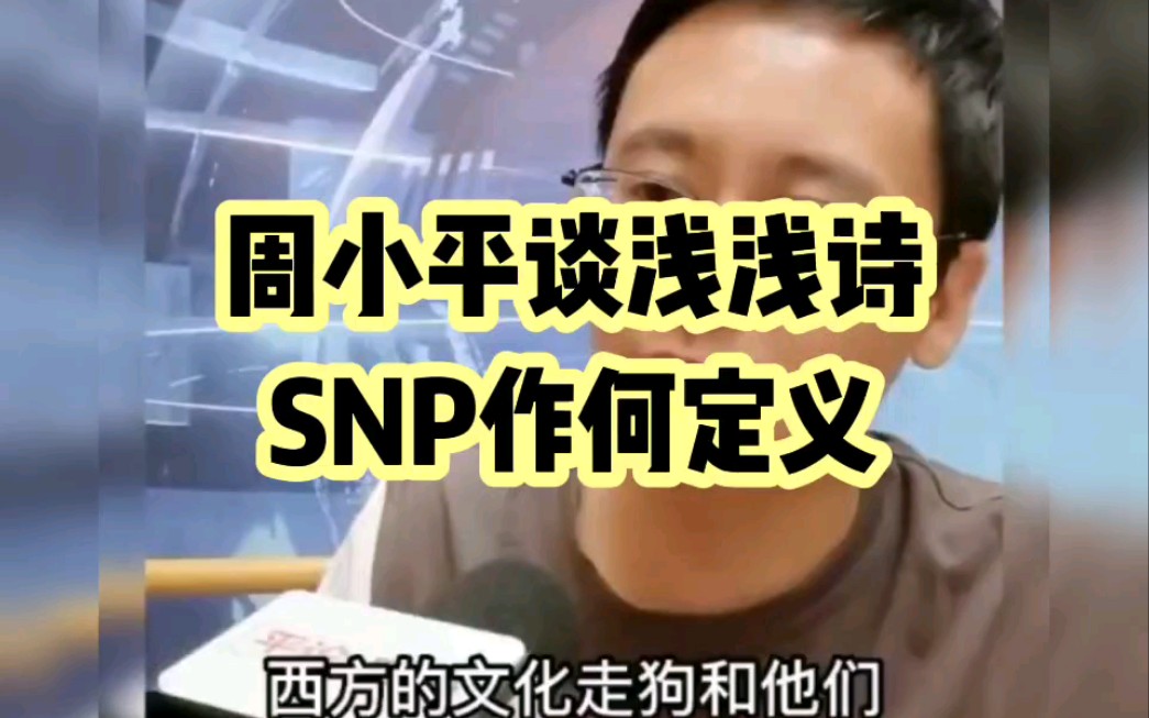 周小平谈浅浅诗歌,SNP作何定义!哔哩哔哩bilibili