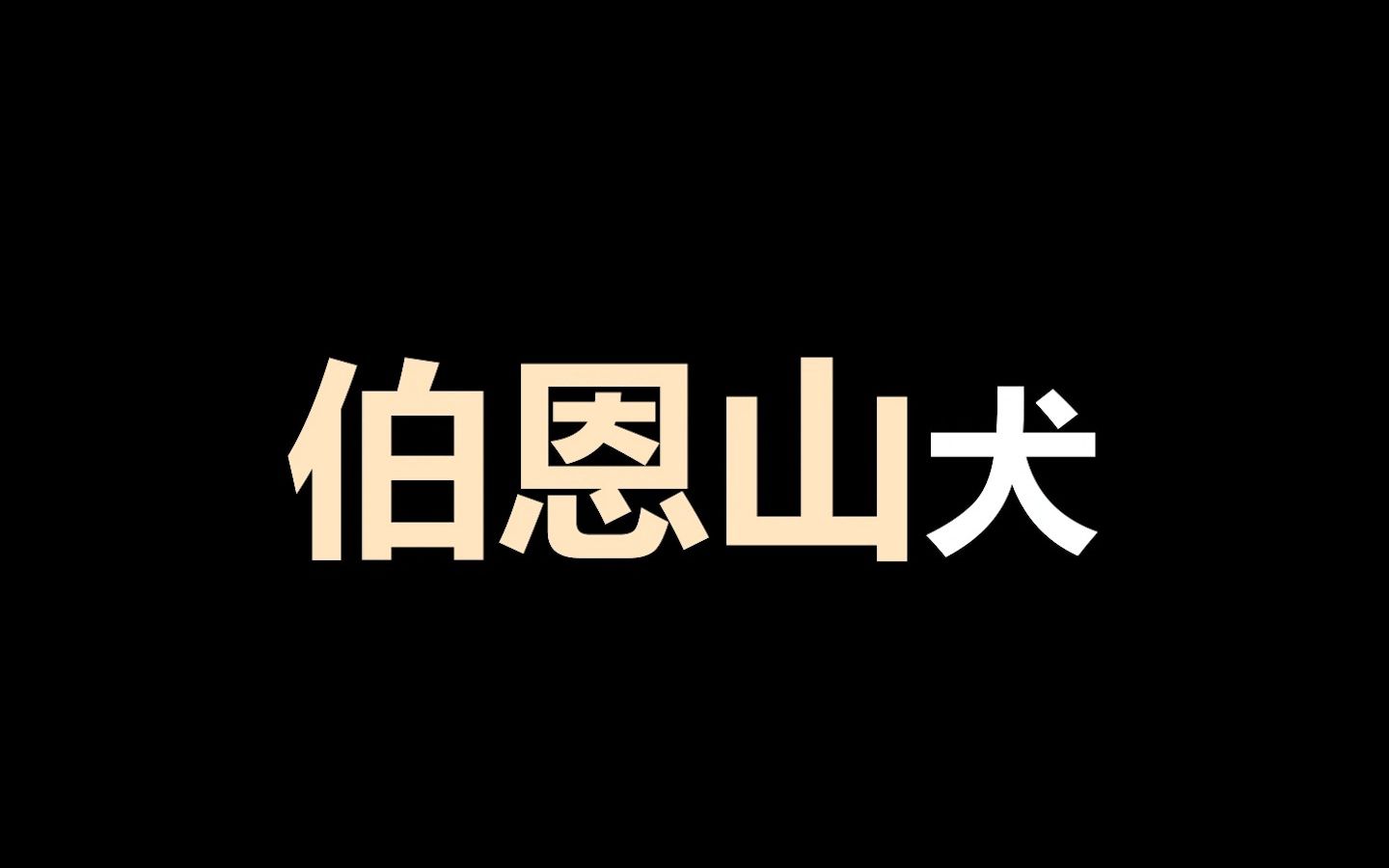 [图]宠物冷知识：伯恩山好是真的好，就是太贵了，你云养的是那只狗狗？