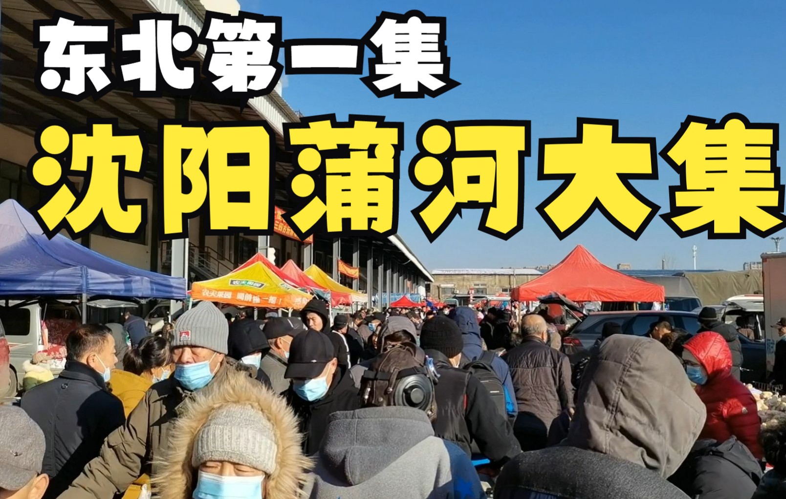 逛东北第一集,沈阳蒲河大集,地道的农副产品真好啊_哔哩哔哩_bilibili