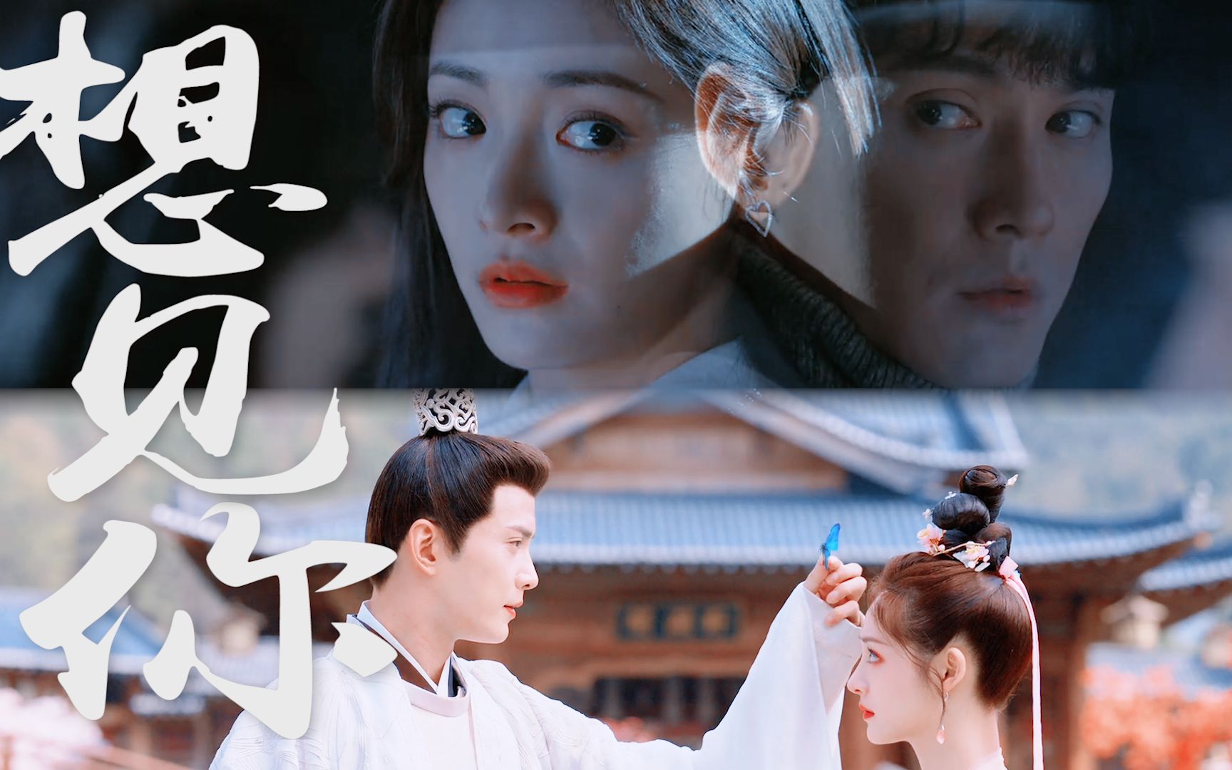 我的公主殿下,臣来迟了