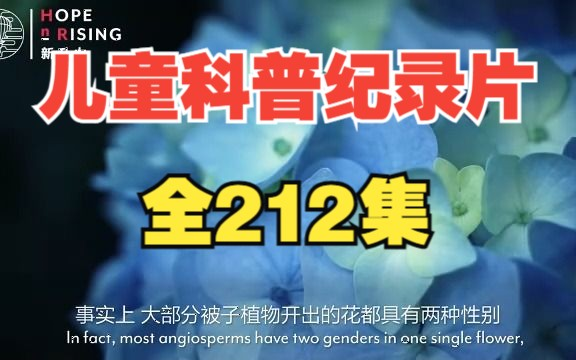 【全236集18个板块】孩子一看就涨知识的儿童科普纪录片之植物篇适合315岁朋友观看哔哩哔哩bilibili