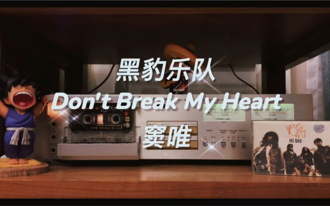 磁带试听黑豹乐队窦唯dont break my heart