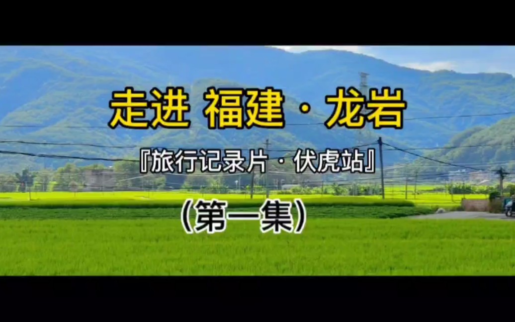 「旅行记录片」走进福建龙岩,第一站伏虎村,一起去感受下“客家风情”吧!!哔哩哔哩bilibili