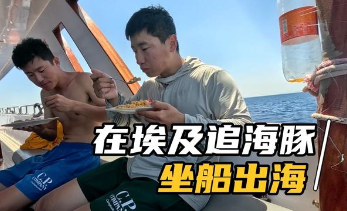 在埃及坐船出海追海豚,打卡红海里游泳,不敢想这边的消费那么低哔哩哔哩bilibili