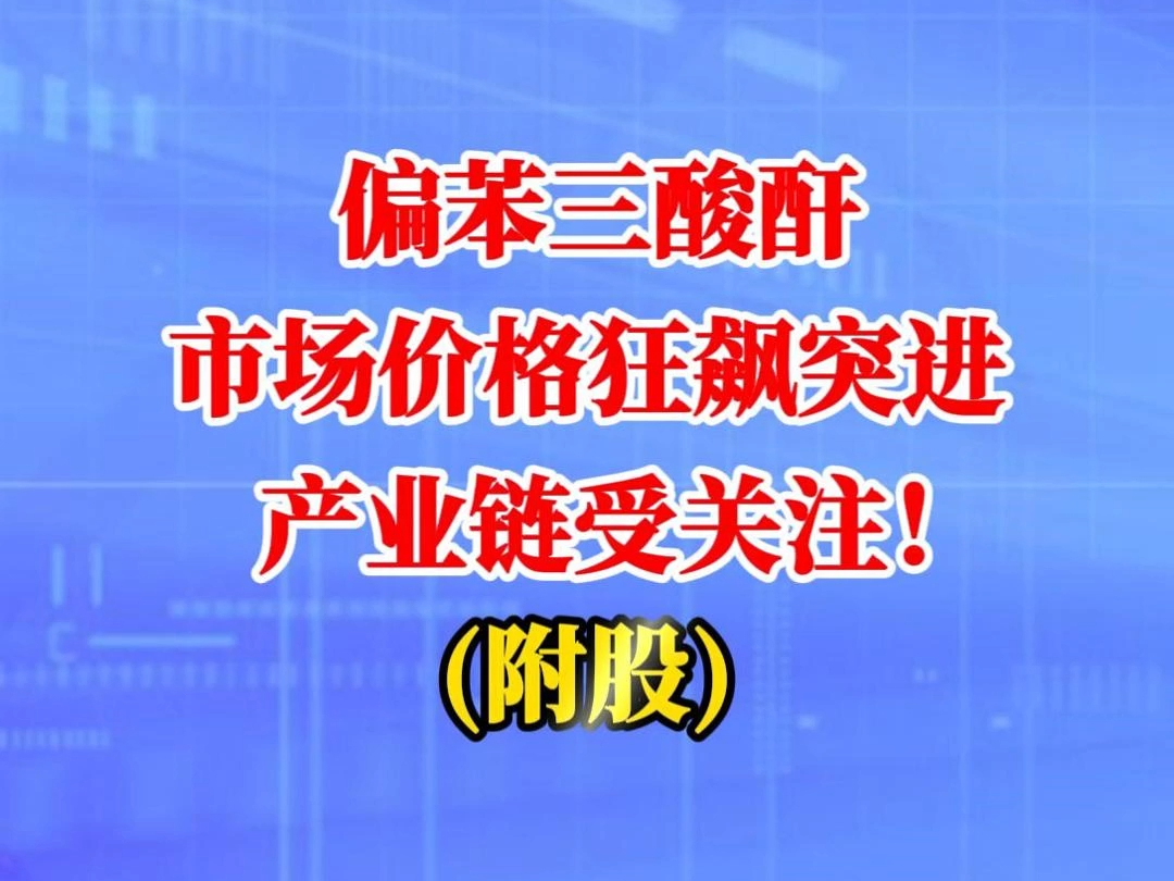 偏苯三酸酐市场价格狂飙突进,产业链受关注!(附股)哔哩哔哩bilibili