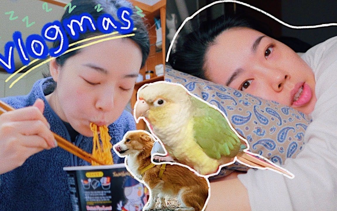 [图]【搬运】蒜姐Garlic Kim I Vlogmas10 I 终于回到家 I 拆包行李 l 大睡特睡 I 给自己做饭、带Toru散步 I 20221212