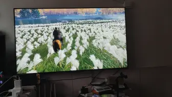 Tải video: 用新电视试玩PS4游戏 终于没有讨厌的拖影了