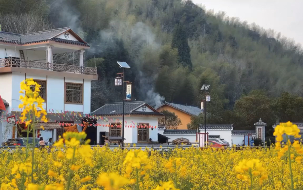 [图]你闻到了吗，风里已经有了春天的味道，我的意思，在这样春暖花开的季节里，随风生，随香花，随着烟火气，适合见一面啊！#春天#油菜花#治愈