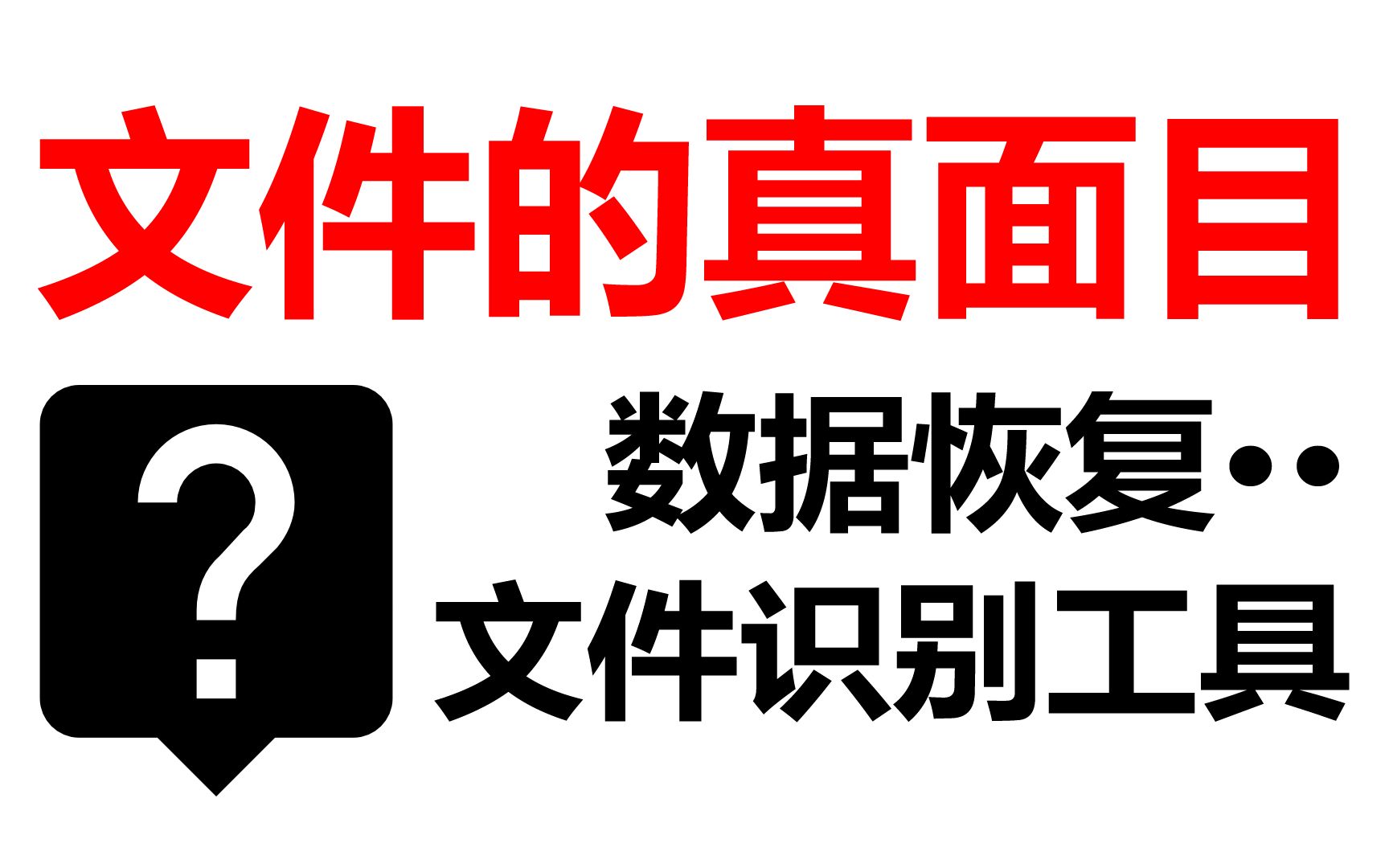 揭开文件的真面目,数据恢复未知文件识别工具,无后缀或篡改后缀文件真实格式分析识别