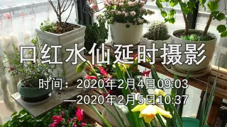 口红水仙 搜索结果 哔哩哔哩弹幕视频网 つロ乾杯 Bilibili