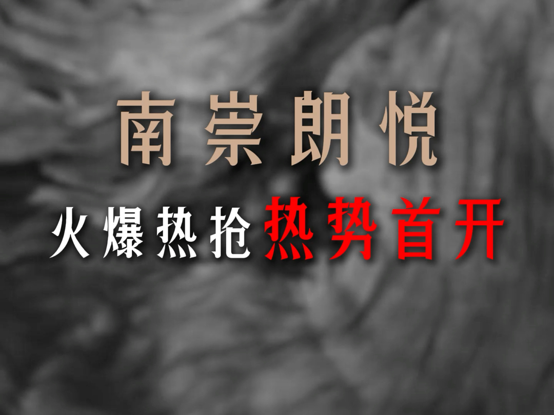 人气高涨,现场火爆,#南崇朗悦 理想大宅,席位尊崇,热势首开,敬启菁英,分秒递减!哔哩哔哩bilibili